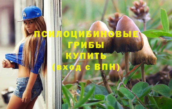 PSILOCYBIN Богородск