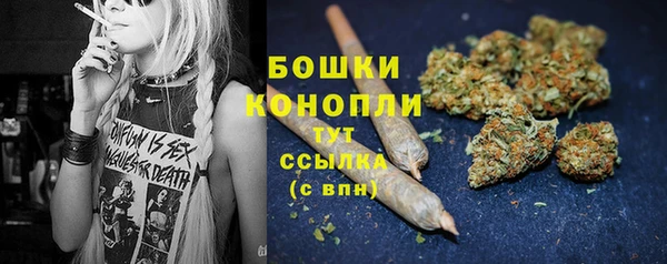 сатива Богородицк