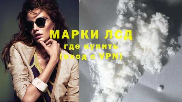 сатива Дмитров